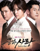 收藏 黄静茵 无尽 车仁表 柳秀荣 爱 盒装