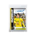 Kaka [Follow to Get Card Bricks]