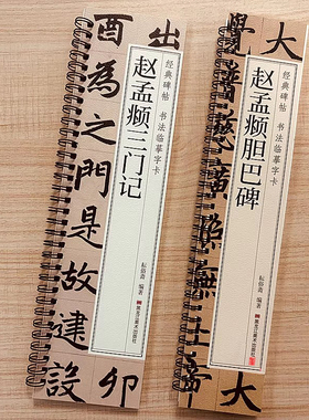 赵孟頫三门记楷书字帖全文收录经典碑帖赵孟頫胆巴碑字帖楷书毛笔书法字帖近距离临摹字卡原大版附简体旁注译文对照原帖赵孟頫字帖