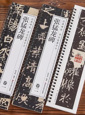 北魏张猛龙碑经典碑帖书法临摹字卡原大版简体旁注魏碑碑帖楷书毛笔书法字帖近距离临摹卡黑龙江美术