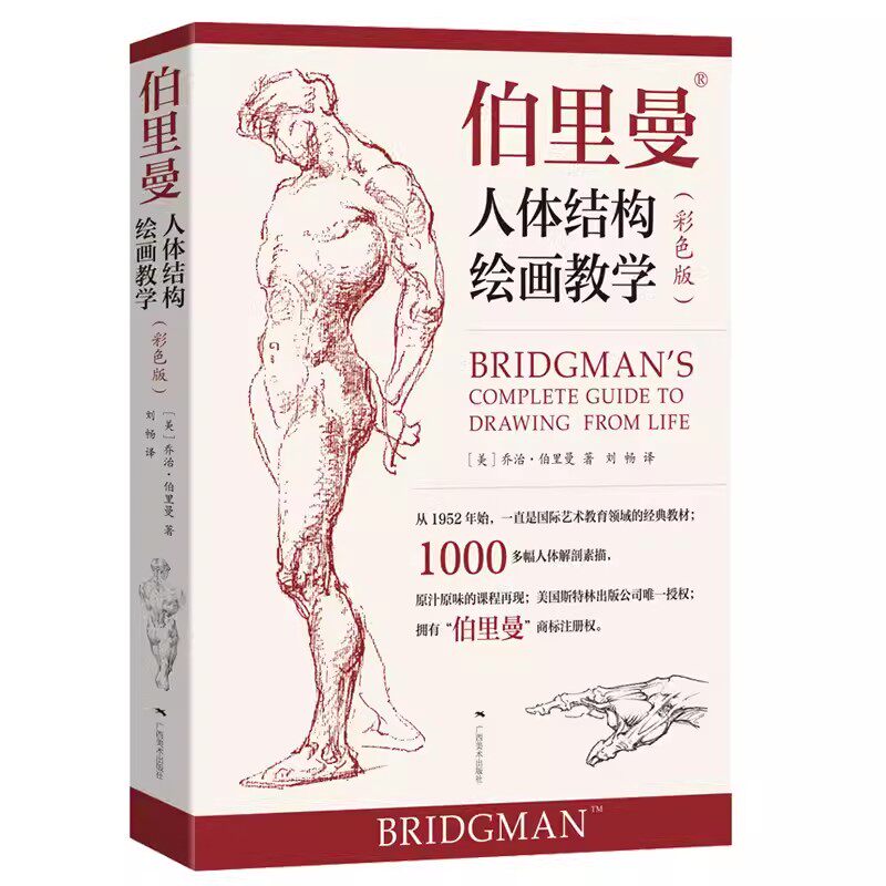 伯里曼人体结构绘画教学彩色版 高清还原图画稿版 人体结构造型手绘技法艺用人体构解剖人物模型素描速写临摹动漫美术结构教程书