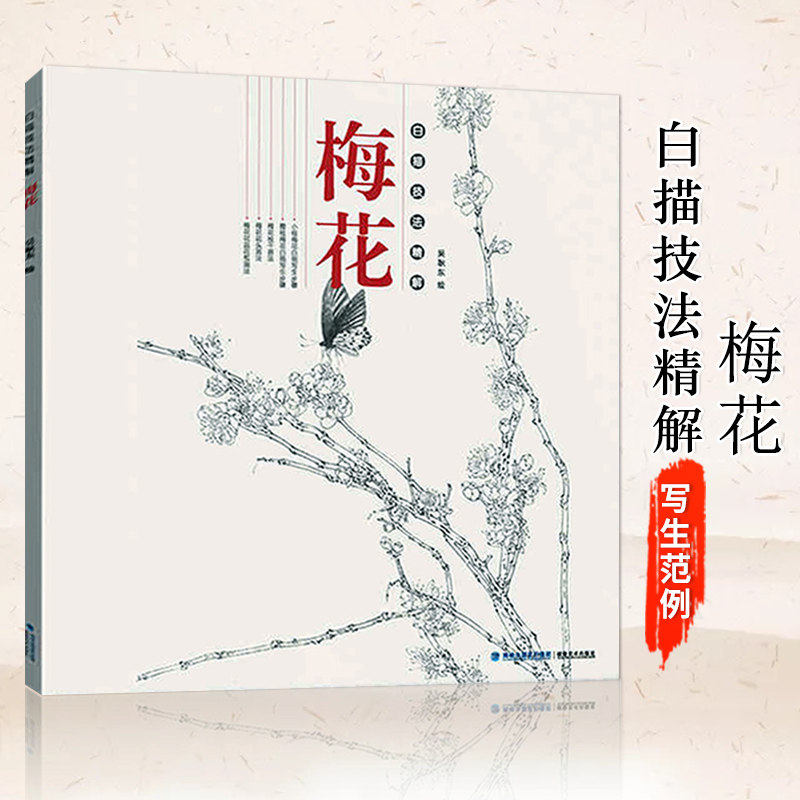 梅花 中国画花草植物梅花工笔画线描写生白描绘画底稿勾线画谱 专业