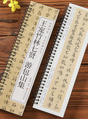 王宠竹林七贤 游包山集 经典碑帖书法临摹字卡 小楷简体旁注原色原帖全文成人学生初学者基础入门毛笔书法字帖近距离临摹字卡
