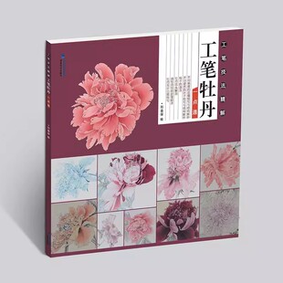工笔牡丹一点通 工笔技法精解 刘金保绘 工笔花鸟画扇面临摹鉴赏专业美术爱好者绘画技法画法 中国画绘画初学者入门基础知识书籍
