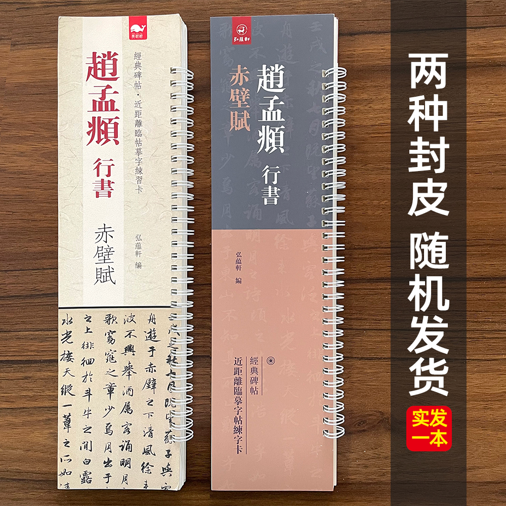 经典碑帖近距离临帖摹字练习卡赵孟頫行书赤壁赋赵孟俯赤壁赋近距离临摹字卡字帖毛笔书法字帖卡初学者入门字条贴毛笔书法字帖卡