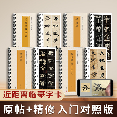 全文视频逐字精讲 临摹卡入门对照版 入门教程练字帖成人初学者近距离临摹字卡原帖临帖 王羲之兰亭序峄山碑曹全碑智永楷书千字文