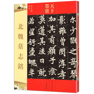 北魏墓志铭 天下墨宝 元桢墓志铭 元纂元显俊元珽妻穆玉容司马昞 世宗嫔司马显姿 毛笔书法字帖原碑帖吉林文史