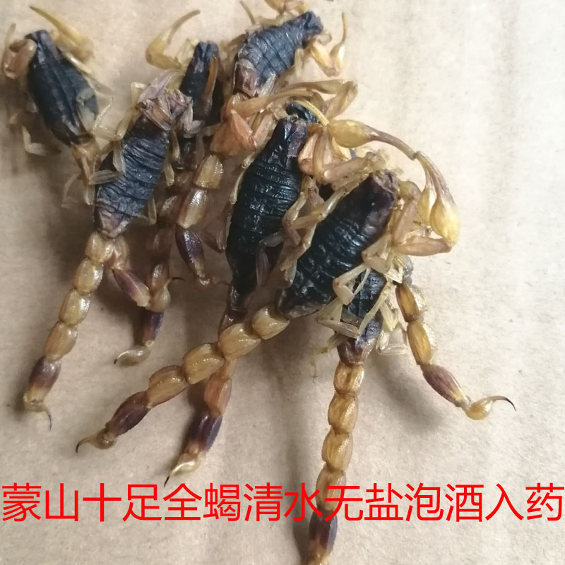 蒙山十足全蝎中药材蝎子干无盐清水全虫药食两用入药保烫油炸泡酒-封面