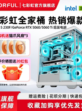 七彩虹主机230F i5 12400 12600kf RTX5060Ti/RTX5060/RTX5070显卡diy装机组装电脑台式机全套游戏全家桶整机