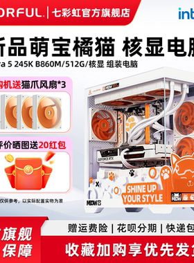 七彩虹橘猫主机 12100 12400 13400 14700 265K 核显支持rtx4060 5060ti 8g 5070显卡台式机电脑diy组装机