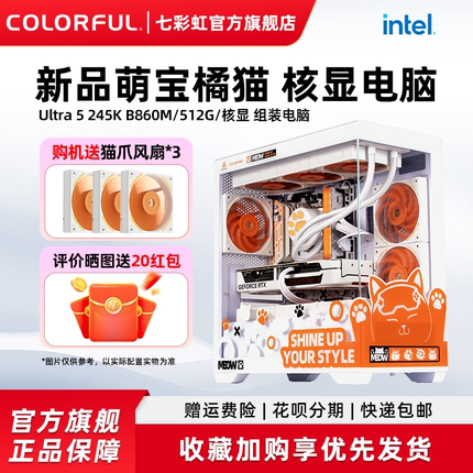 七彩虹橘猫主机 12100 12400 13400 14700 265K 核显支持rtx4060 5060ti 8g 5070显卡台式机电脑diy组装机