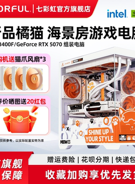 七彩虹橘猫主机i5 12400f 13400f 12600kf 4060 5060Ti 8g RTX5070显卡台式机组装电脑主机游戏diy组装机整机