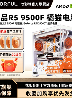 七彩虹橘猫主机新品R5 9500F CPU RTX5050 5060 5060Ti 8g RTX5070显卡台式机组装电脑主机游戏diy组装机整机