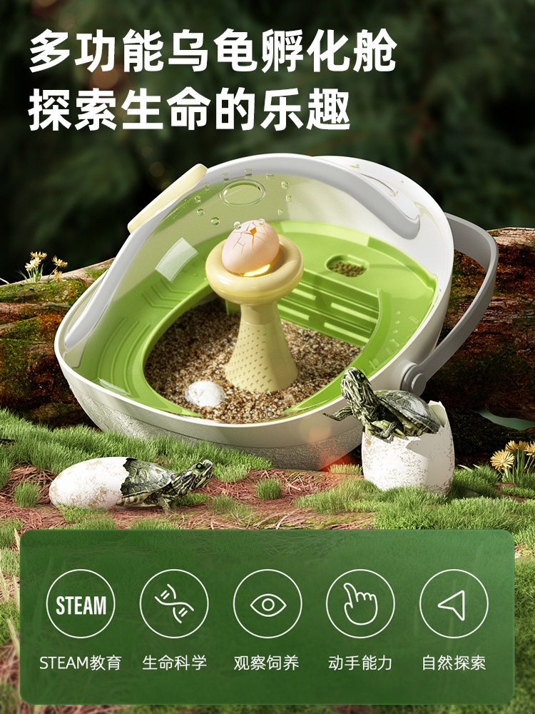 科学罐头乌龟蛋孵化舱器爬台生态箱乌龟蛋可孵化宠物小乌龟别墅屋