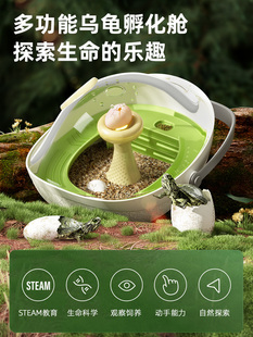 科学罐头乌龟蛋孵化舱器爬台生态箱乌龟蛋可孵化宠物小乌龟别墅屋
