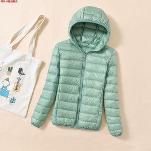 大码 轻薄款 女羽绒棉服女连帽立领短款 可爱修身 外套 学生韩版 24新款