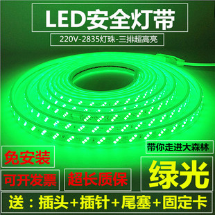 LED灯带条绿色LED灯条220V绿光灯带防水超高亮客厅家装 展厅三排