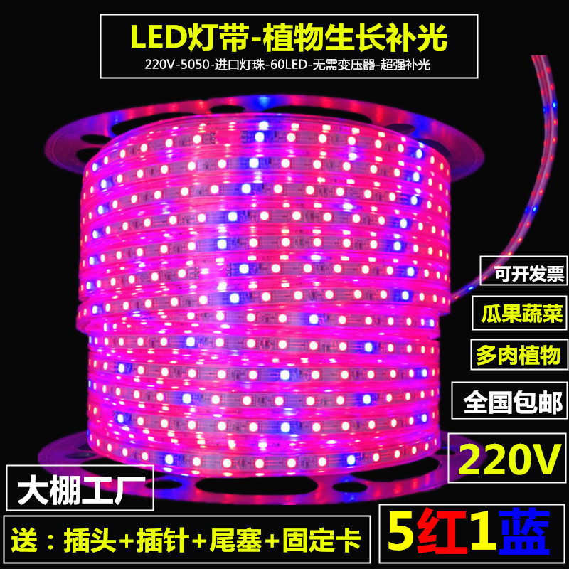 220v植物生长补光led植物果蔬LED