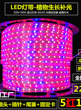 220V植物生长补光LED灯带条5红1蓝全光谱强补光大棚植物果蔬工厂