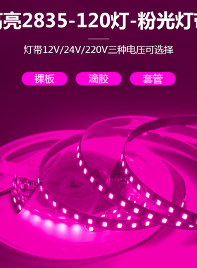 12V24V2835粉色灯带220V高亮粉红色贴片灯带户外防水粉紫色灯带条