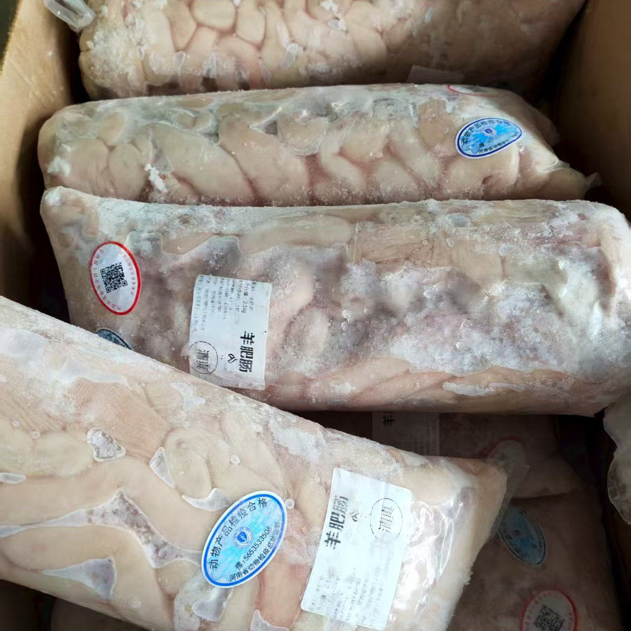 新鲜羊肥肠生羊肠羊肠批发商用冷冻肥肠一整箱