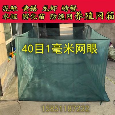 40目定做带盖养殖网箱小鱼苗泥鳅黄鳝网箱养鱼网箱不伤鱼专用拉网