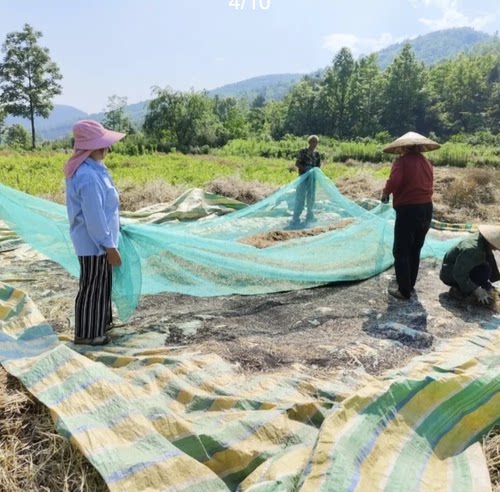 打菜籽神器油菜籽过滤神器