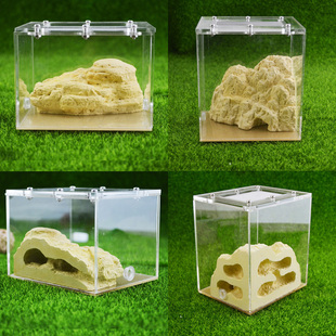 施王蚁馆 仿生态 亚克力盒石膏假山蚁巢 宠物蚂蚁城堡 工坊 家园