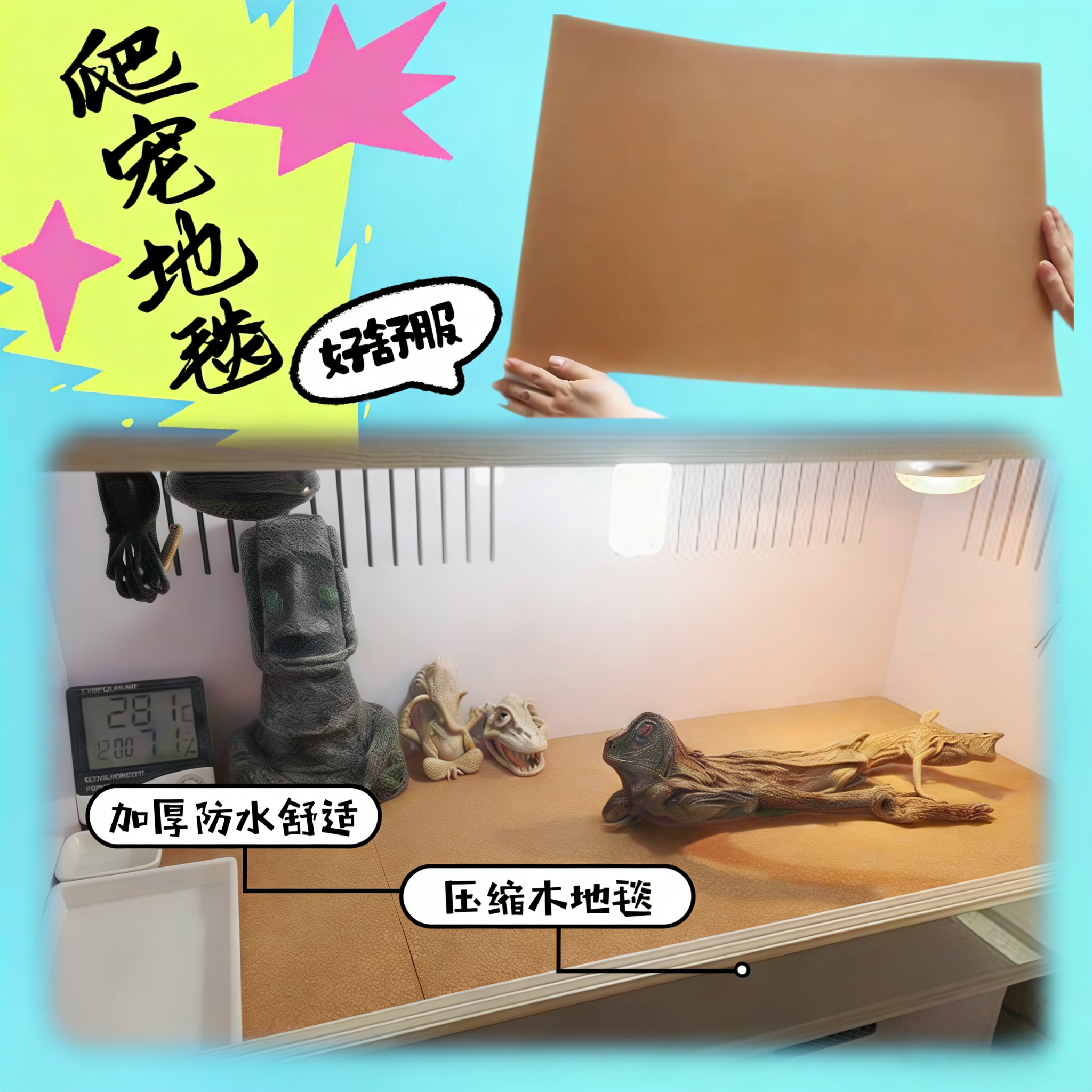 陆龟苏豹龟红腿赫曼卡达鬃狮蜥蜴爬宠清洁及日用品