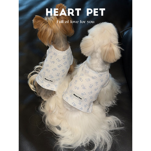 Heart 蓝色小熊bm风透气短款狗狗衣服比熊泰迪马尔济斯小型犬衣服