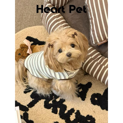 条纹可可宠物背心打底衫