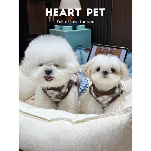 蓝色费尔岛羊羔毛宠物背心