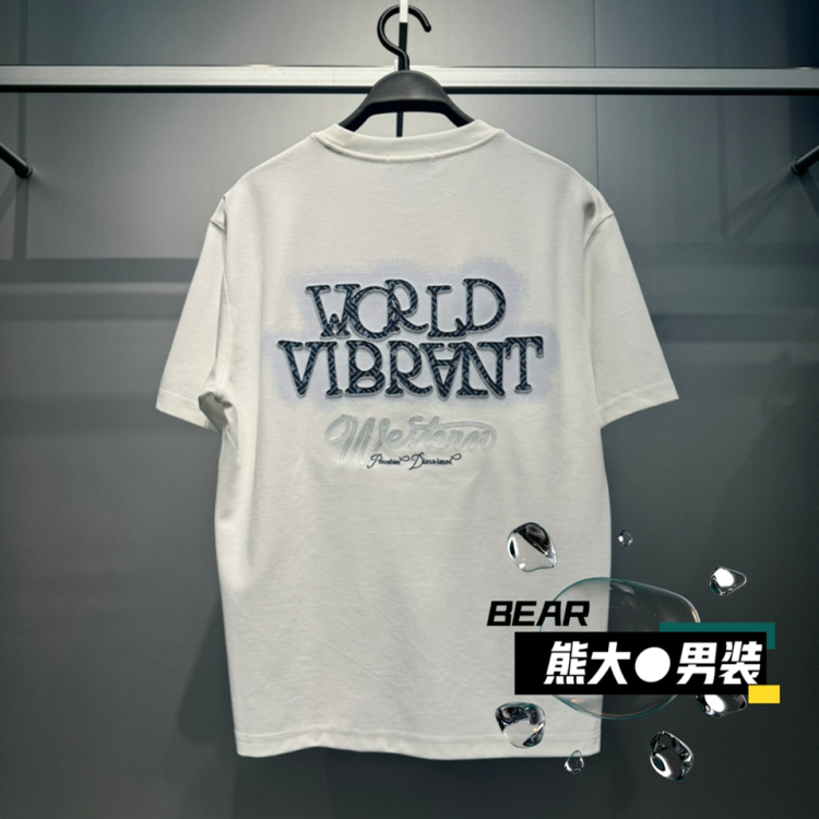 B1CNF2617太平鸟男装2025夏季新款时尚休闲百搭宽松短袖T恤潮 399