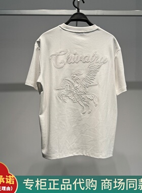 B1CNG1213太平鸟男装2026春季新款B1CNG1213M1合体百搭短袖T恤429