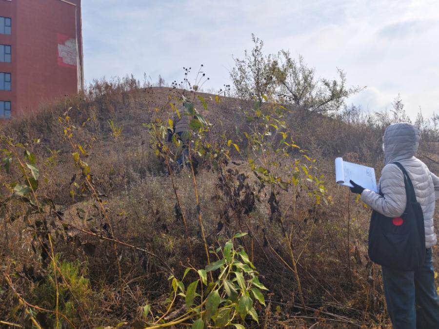 4月17日吉林市仓储公司江沙网络拍卖公告