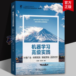 业务场景拆解 网格搜索 供需预测 王聪颖 谢志辉 动态定价 计算广告 智能营销 特征工程 正版 模型评估选型 机器学习高级实践