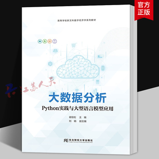 大数据分析 Python实践与大型语言模型应用 谢佳松主编 东北财经大学出版社9787565458415 书籍正版