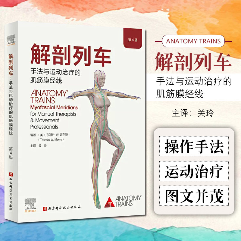 解剖列车 第4版 手法与运动治疗的肌筋膜经线 医学基础教材人体解剖彩色肌肉功能测试全书 奈特身体解读结构分析医学