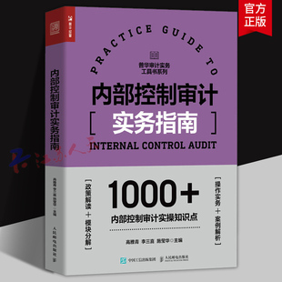 内部控制审计实务指南 内部控制审计工具书 一线审计工作者操刀 近百个实战图表模板示例 1000+内控审计实操知识点详解