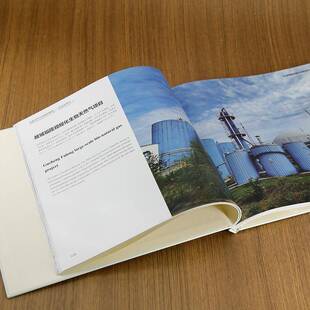 中国沼气工程案例图鉴:辑:生物天然气郭建斌9787302674801 清华大学出版社 农业、林业书籍