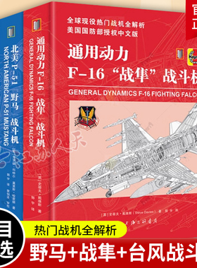 北美P-51“野马”战斗机 通用动力F-16“战隼”战斗机 英国皇家空军“台风”多用途战斗机战斗机空战雄猫大黄蜂舰载战斗机F14F18