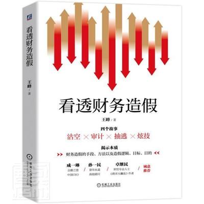 看透财务造假峰普通大众上市公司会计检查研究管理书籍