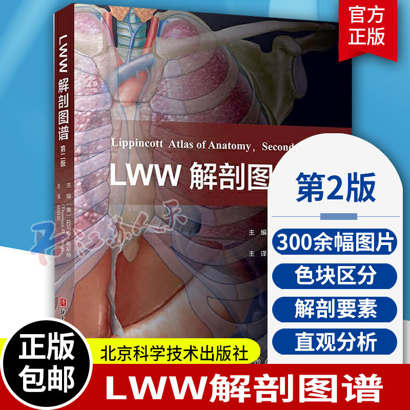 LWW解剖图谱 第2版 丰富了头部五官和颅内解剖的内容 更新了300余幅图片 电脑绘图精细展现深浅层关系 并增加肌肉功能表 北京科技