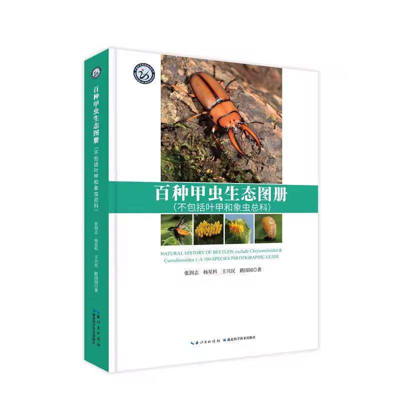 百种甲虫生态图册:括叶甲和象科:a 100-species photographic guide张润志9787570633517 湖北科学技术出版社 自然科学书籍