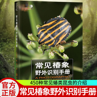 建赟 正版 常见椿象野外识别手册 包邮 蝽类昆虫介绍收录450种蝽类昆虫特征描述照片按图索骥主要参考文献好奇心书系自然科普书籍