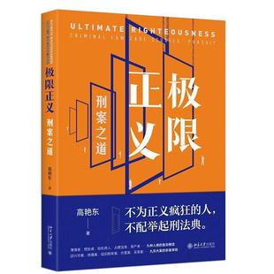 正版 极限正义 刑案之道 高艳东 热点案例新型案例学理分析 使用构成要件理论定罪 刑法典九堂刑案公开课 北京大学