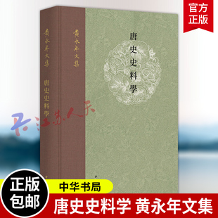 唐史史料学 黄永年文集 黄永年著 研习唐史的一把钥匙 黄永年教你读透唐代史料 中华书局9787101171983 书籍正版