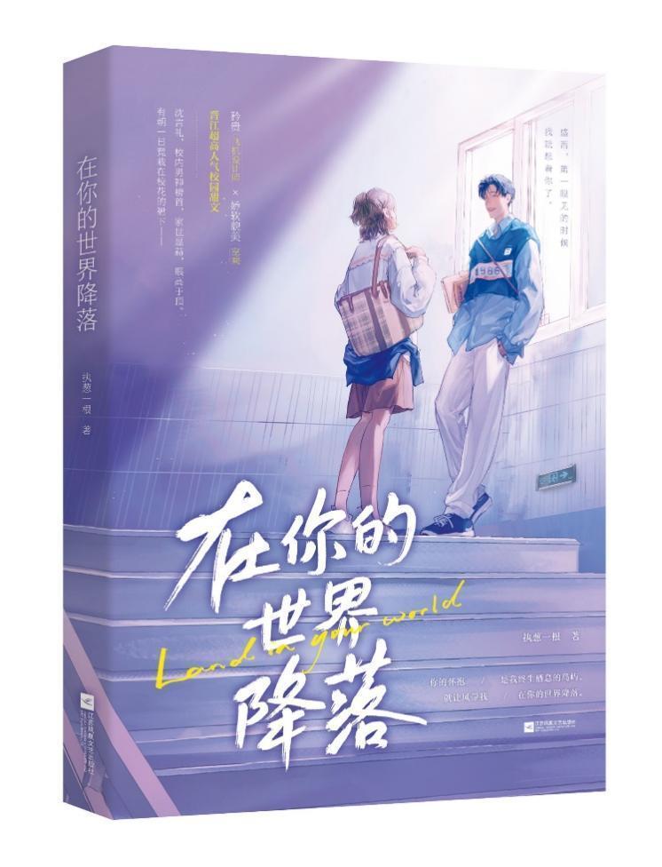 在你的世界降落执葱一根  小说书籍