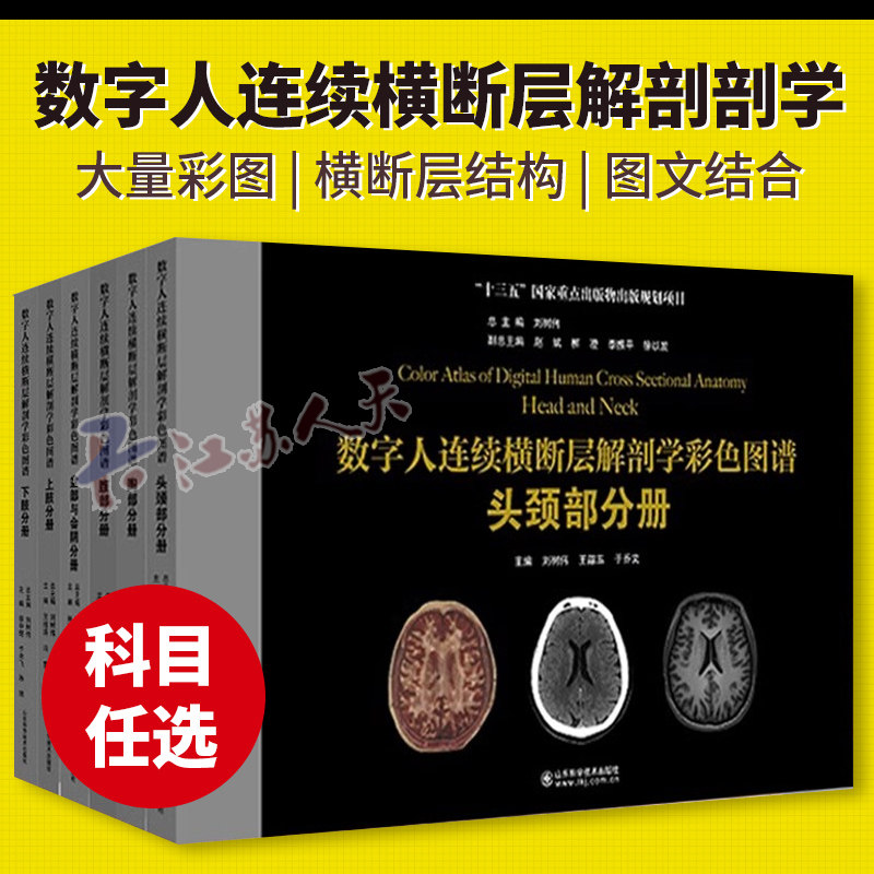 数字人连续横断层解剖学彩色图谱全套六本6册腹部+盆部与会阴+上肢+下肢+头颈部+胸部分册人体局部系统CT与MR解剖图谱临床
