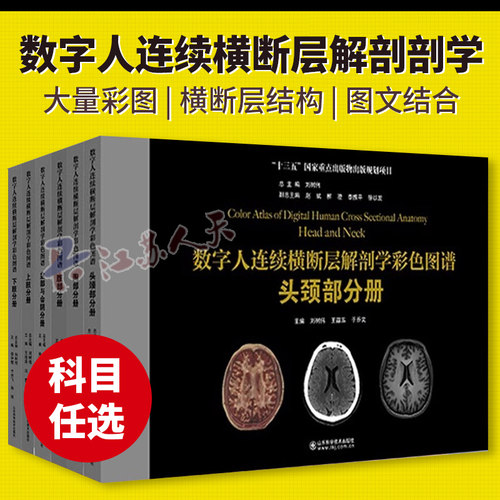 数字人连续横断层解剖学彩色图谱